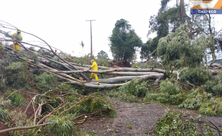 Chapecó é atingida por vendaval neste sábado; meteorologista identifica tornado