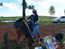 VÍDEO: Relação entre humanos e cavalos traz benefícios para o corpo e mente 