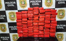 Operação conjunta resulta em grande apreensão de maconha em Maravilha