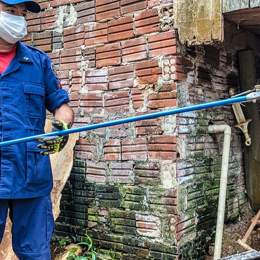 VÍDEO: Morador encontra Jararaca em porão de casa e aciona bombeiros em SMO
