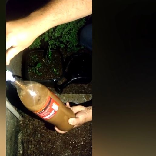 VÍDEO: Casan investiga causas de problemas na água distribuída em SMO