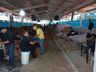 Segundo dia de Itaipu Rural Show reúne palestras e networking em Pinhalzinho 