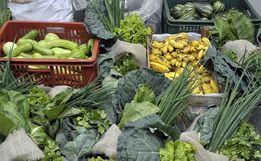 Barra Bonita abre chamada pública para compra de alimentos da agricultura familiar