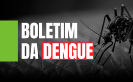 SC tem mais de 45 mil focos de dengue registrados em 258 municípios
