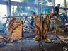 1º Cost’ Tchê movimenta rodeio em São Miguel do Oeste; fotos