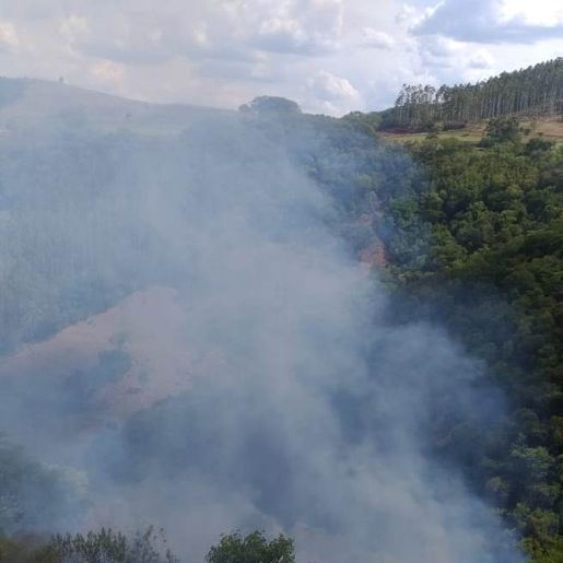 Incêndio atinge área de reflorestamento em SJCedro
