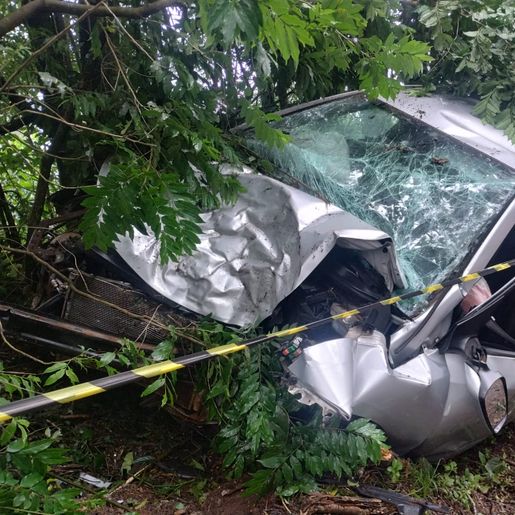  Jovem fica ferido ao colidir carro em árvore na SC-163 em Itapiranga