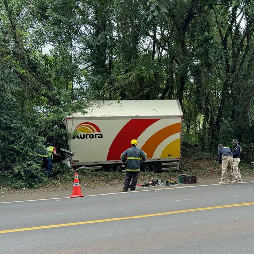 Motorista morre em colisão contra árvore as margens da BR 282