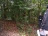 Grávida encontrada carbonizada em Itajaí foi morta por amigos, diz polícia