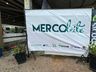 Concurso leiteiro da Mercoleite tem previsão de quebra de recorde estadual