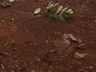 Grave acidente deixa um morto e SC-160 interditada