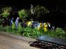 Gol sai da pista e tomba no interior de São Miguel do Oeste