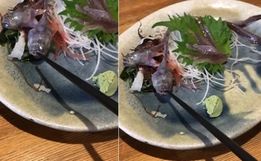 Peixe servido em restaurante japonês morde hashi e vídeo viraliza