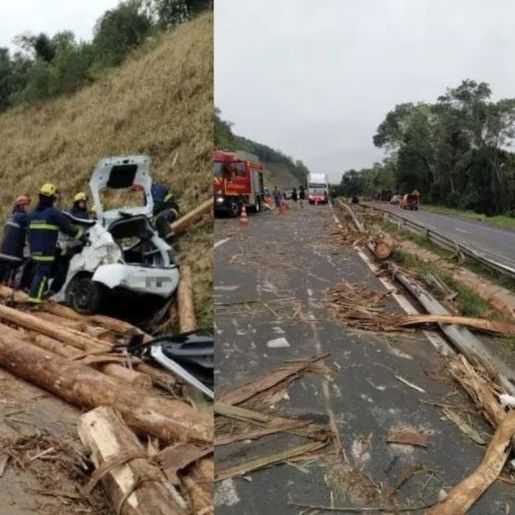 Quatro pessoas morrem após carro ser atingido por carga de toras