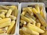 Ex-empresário do ramo frigorífico desempenha atividades com a produção de hortaliças