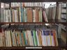 Biblioteca de São João do Oeste recebe doação de acervo particular de professor de história