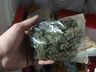 Mega Operação Contra o Tráfico de Drogas é Deflagrado na Fronteira