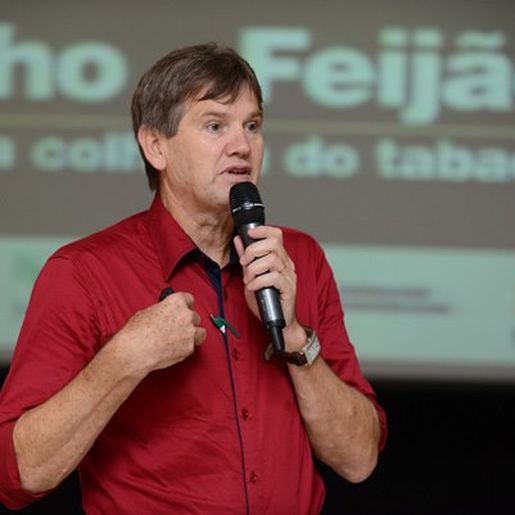 Trigo pode suprir carência de milho na região