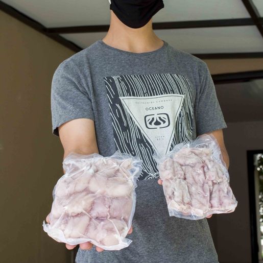 Produção de rãs vira aposta de renda alternativa no Oeste