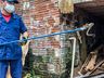 VÍDEO: Morador encontra Jararaca em porão de casa e aciona bombeiros em SMO