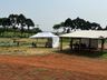 Cedup Campo Erê realiza tradicional Dia de Campo 