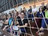 União em quadra: Vereadores e atletas da APAE celebram a inclusão em partida de futsal