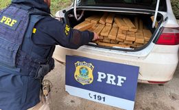 PRF apreende mais de 350 quilos de maconha em duas ocorrências no Oeste