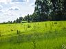 OUÇA: Peperi anuncia projeto para Parque Florestal na Linha Emboaba