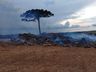  Depósito de madeiras é atingido pelo fogo em Campo Erê