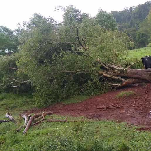 Fortes ventos causam estragos no interior de Itapiranga