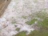 VÍDEO: chuva de granizo é registrado no interior de Palma Sola