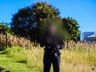 Começa o 2º júri popular do caso Joacir Montagna em São Miguel do Oeste