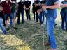 Epagri realiza Dia de Campo para apresentação da cultura de inverno