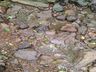 Polícia Ambiental investiga poluição hídrica em Itapiranga