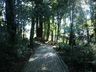 Parque Augusta Crestani tem novo zelador