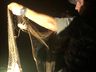 Período da Piracema encerra na região com aumento no número de apreensões de material de pesca
