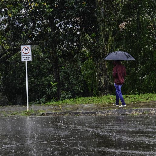 Defesa Civil alerta para risco de temporais com raios e ventania
