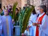Domingo de Ramos: Padre Ivo convida fiéis a “olhar à humildade de Jesus”