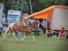 Oração do Pai Nosso e Ave Maria marcam 2º dia do Acampamento Farrapo, em SMO