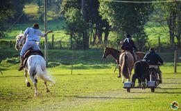 1º Torneio de Tiro de Laço de Vaca Mecânica movimenta Semana Farroupilha