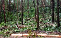 Município de Santa Helena é atingido por tornado de pequeno porte