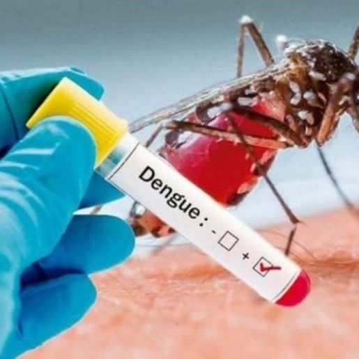 Sobe para 90 o número de casos de dengue em São Miguel