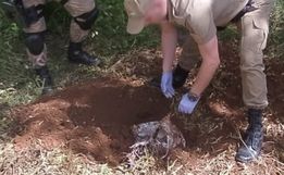 Homem confessa ter matado a companheira e escondido corpo no quintal