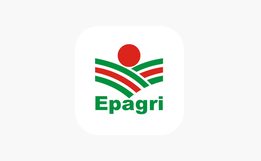 Epagri registra grande procura por capacitação em criação de gado