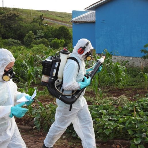São Miguel do Oeste volta a registrar  caso de dengue após quatro meses