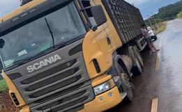 Caminhão com 28 bovinos clandestinos é apreendido em Princesa