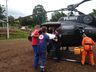 Homem fica ferido ao ser atingido por árvore 