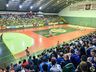 São Miguel Futsal perde em amistoso contra Pato Futsal
