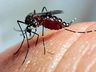 Brasil ultrapassa marca de mil mortes por dengue em 2025