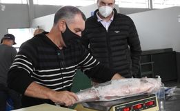 Venda de peixes na Feira Livre fica abaixo do esperado e frustra agricultores 